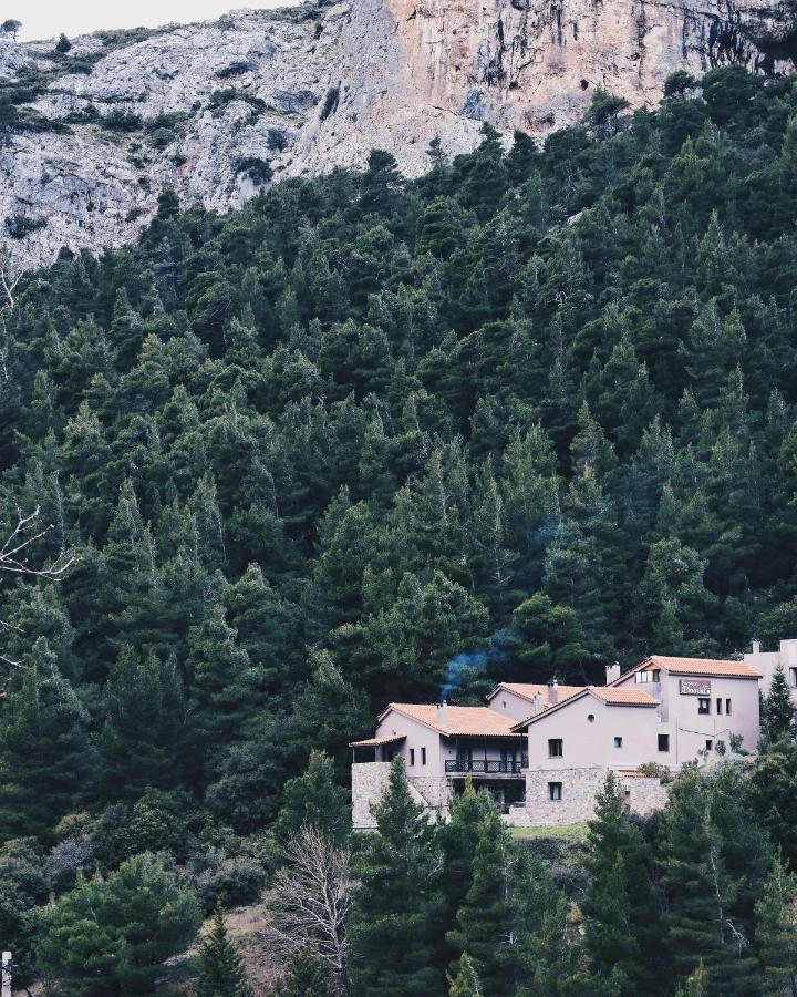 Guesthouse Vasiliki Steni Dhirfios Buitenkant foto